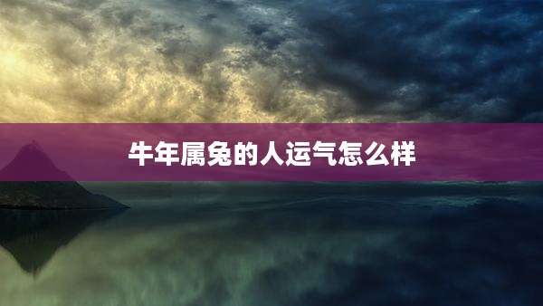 牛年属兔的人运气怎么样