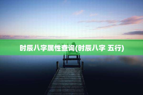 时辰八字属性查询(时辰八字 五行)