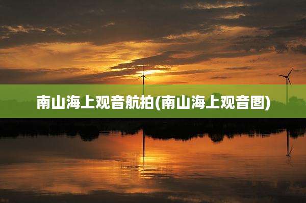 南山海上观音航拍(南山海上观音图)
