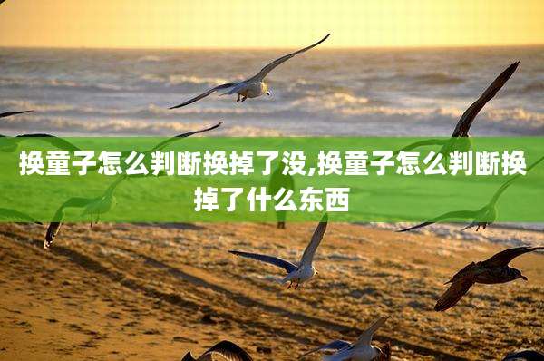 换童子怎么判断换掉了没,换童子怎么判断换掉了什么东西