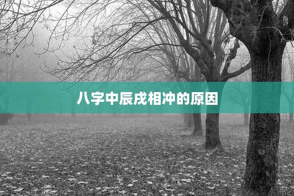 八字中辰戌相冲的原因