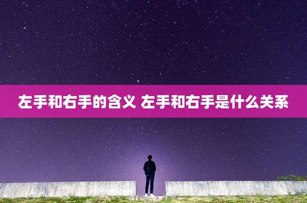 左手和右手的含义 左手和右手是什么关系