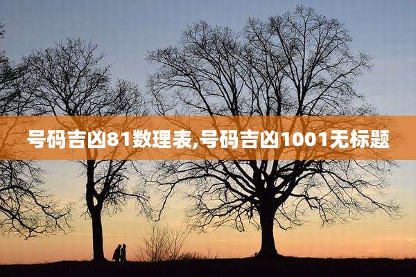 号码吉凶81数理表,号码吉凶1001无标题