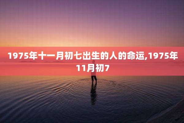 1975年十一月初七出生的人的命运,1975年11月初7
