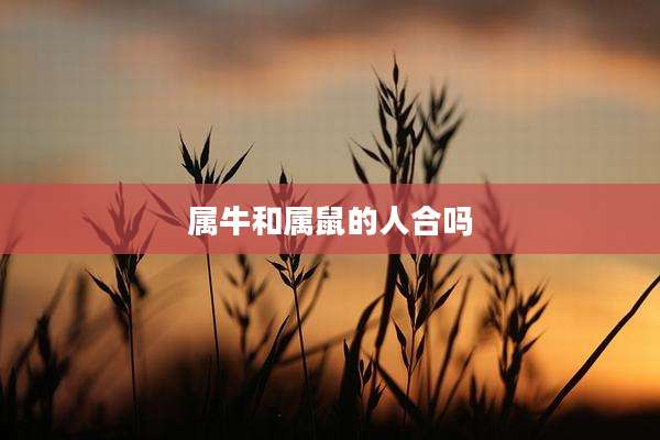 属牛和属鼠的人合吗