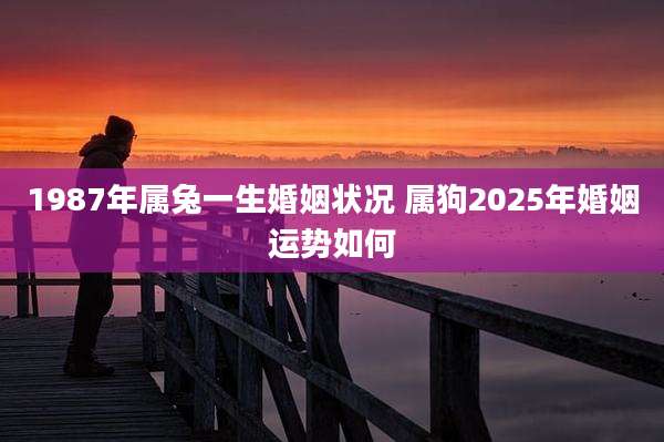 1987年属兔一生婚姻状况 属狗2025年婚姻运势如何