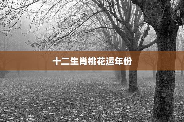 十二生肖桃花运年份