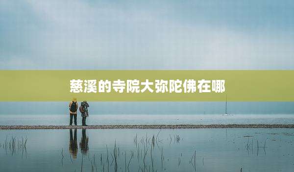 慈溪的寺院大弥陀佛在哪