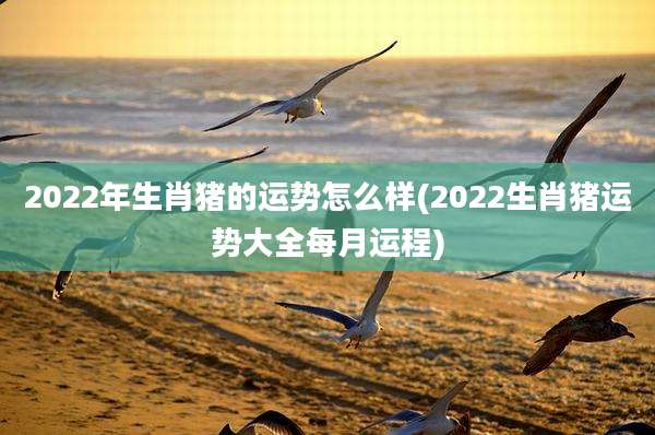 2022年生肖猪的运势怎么样(2022生肖猪运势大全每月运程)