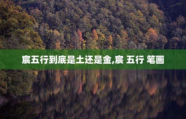 宸五行到底是土还是金,宸 五行 笔画