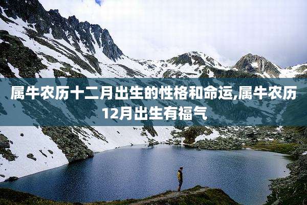 属牛农历十二月出生的性格和命运,属牛农历12月出生有福气