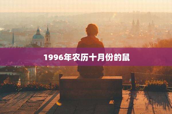 1996年农历十月份的鼠