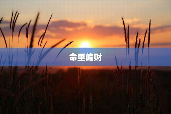 命里偏财