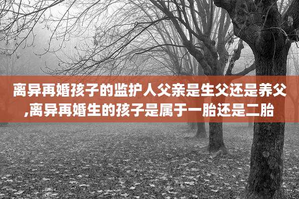离异再婚孩子的监护人父亲是生父还是养父,离异再婚生的孩子是属于一胎还是二胎