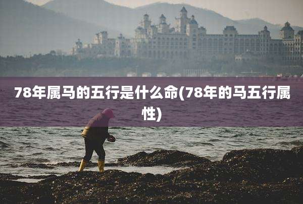 78年属马的五行是什么命(78年的马五行属性)