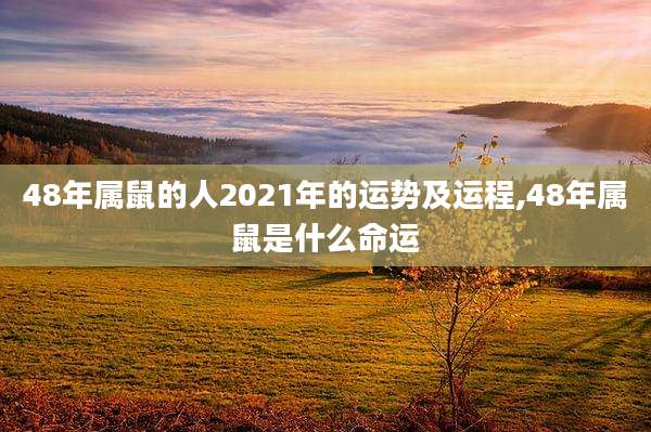 48年属鼠的人2021年的运势及运程,48年属鼠是什么命运