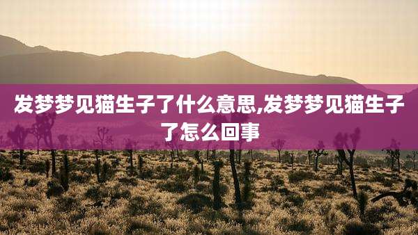 发梦梦见猫生子了什么意思,发梦梦见猫生子了怎么回事