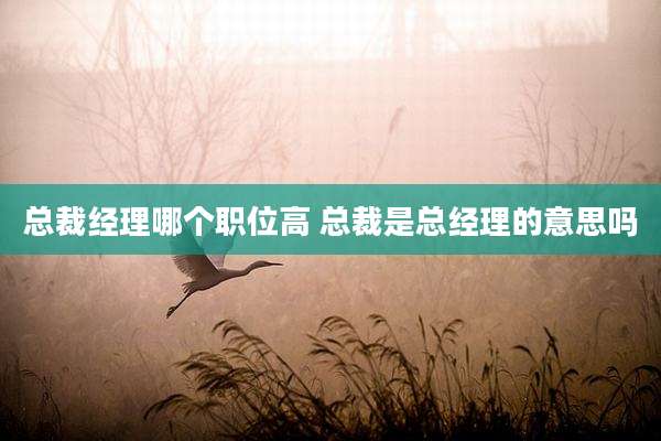 总裁经理哪个职位高 总裁是总经理的意思吗