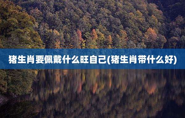 猪生肖要佩戴什么旺自己(猪生肖带什么好)