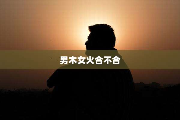 男木女火合不合