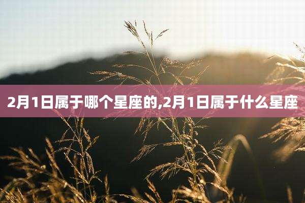 2月1日属于哪个星座的,2月1日属于什么星座