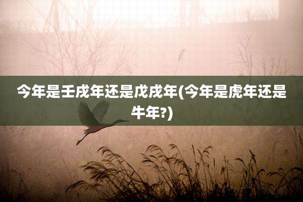 今年是壬戌年还是戊戌年(今年是虎年还是牛年?)