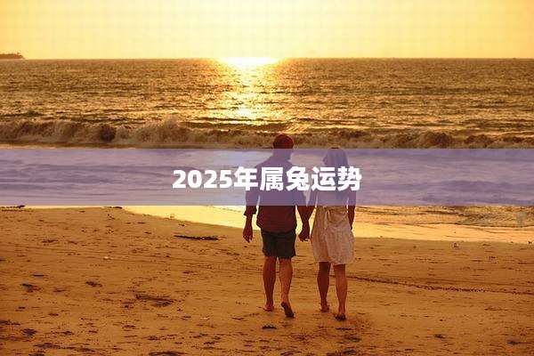 2025年属兔运势