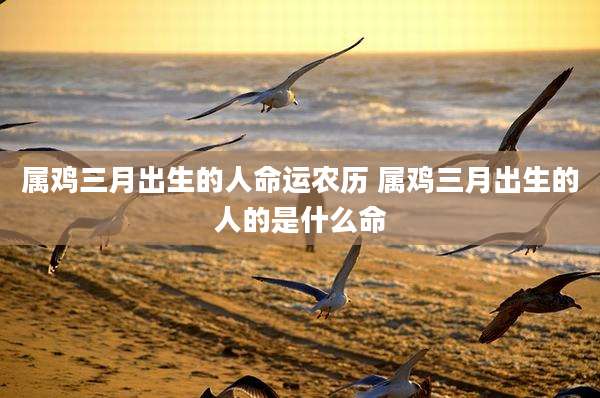 属鸡三月出生的人命运农历 属鸡三月出生的人的是什么命