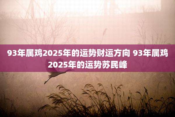 93年属鸡2025年的运势财运方向 93年属鸡2025年的运势苏民峰
