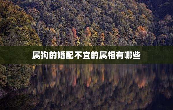 属狗的婚配不宜的属相有哪些