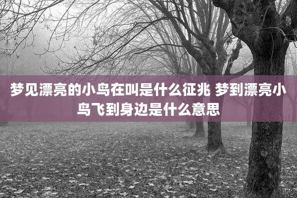 梦见漂亮的小鸟在叫是什么征兆 梦到漂亮小鸟飞到身边是什么意思