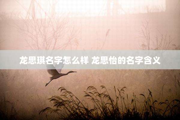 龙思琪名字怎么样 龙思怡的名字含义