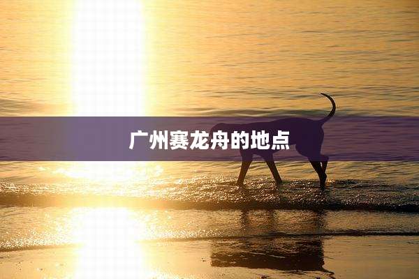 广州赛龙舟的地点