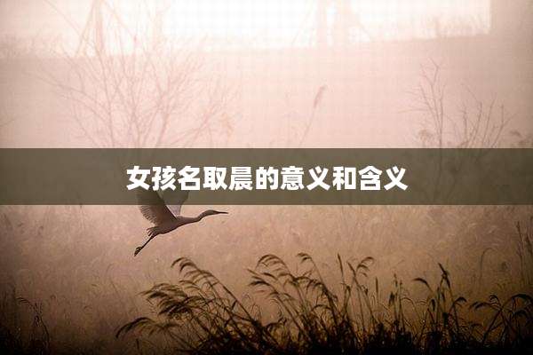 女孩名取晨的意义和含义