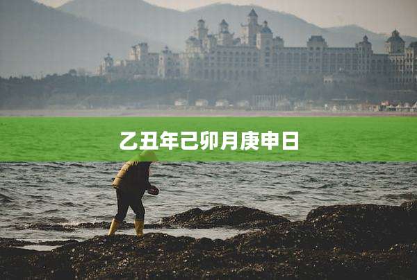 乙丑年己卯月庚申日
