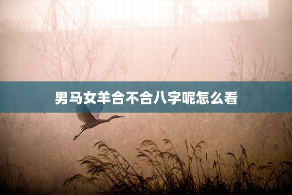 男马女羊合不合八字呢怎么看