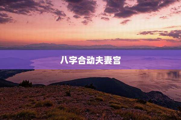 八字合动夫妻宫