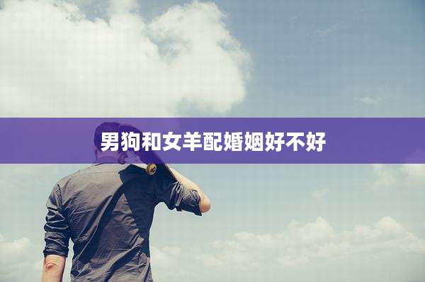 男狗和女羊配婚姻好不好