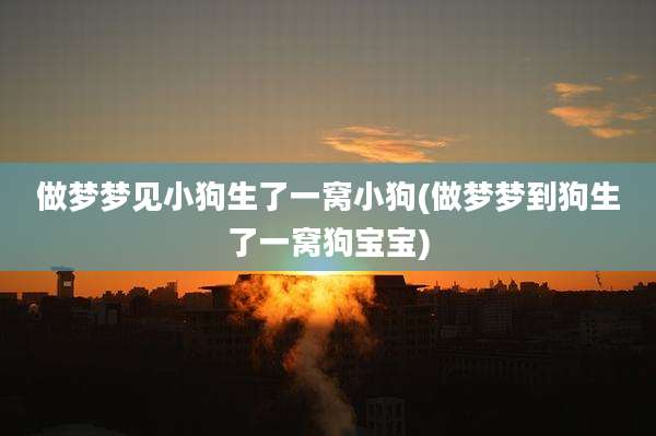 做梦梦见小狗生了一窝小狗(做梦梦到狗生了一窝狗宝宝)