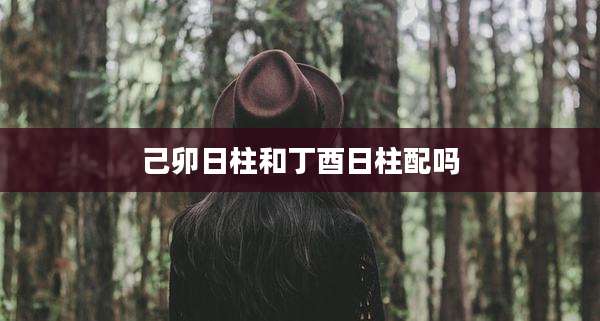 己卯日柱和丁酉日柱配吗