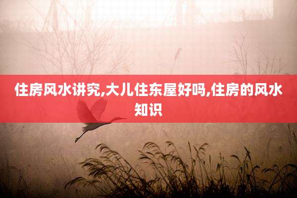 住房风水讲究,大儿住东屋好吗,住房的风水知识