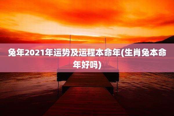 兔年2021年运势及运程本命年(生肖兔本命年好吗)