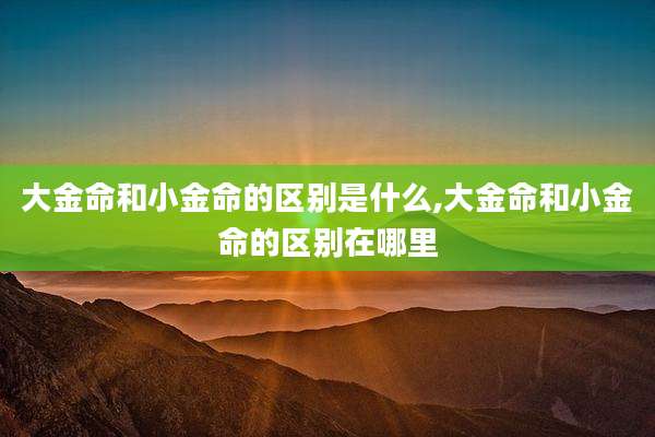 大金命和小金命的区别是什么,大金命和小金命的区别在哪里