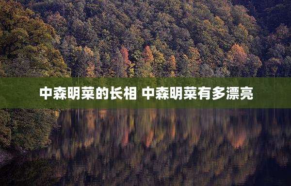 中森明菜的长相 中森明菜有多漂亮