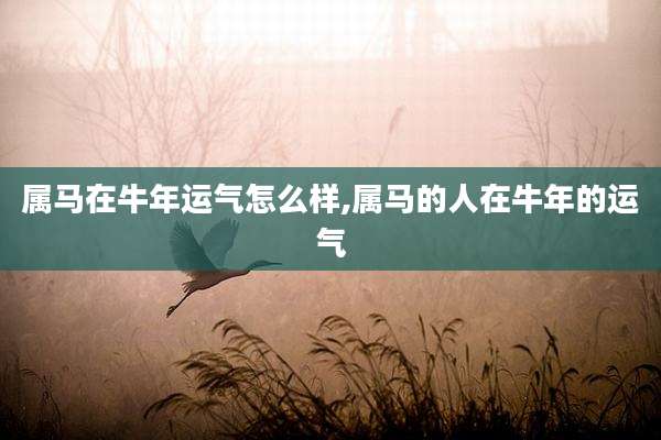 属马在牛年运气怎么样,属马的人在牛年的运气