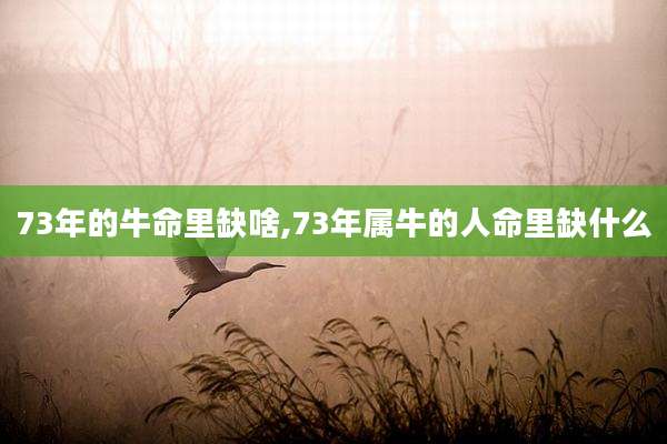 73年的牛命里缺啥,73年属牛的人命里缺什么