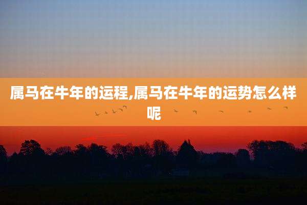 属马在牛年的运程,属马在牛年的运势怎么样呢