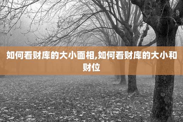 如何看财库的大小面相,如何看财库的大小和财位
