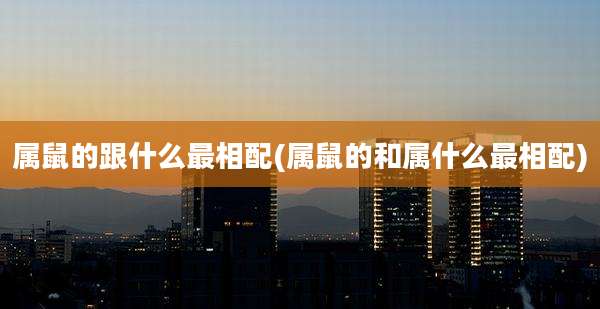 属鼠的跟什么最相配(属鼠的和属什么最相配)