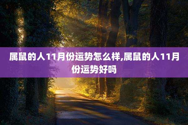属鼠的人11月份运势怎么样,属鼠的人11月份运势好吗